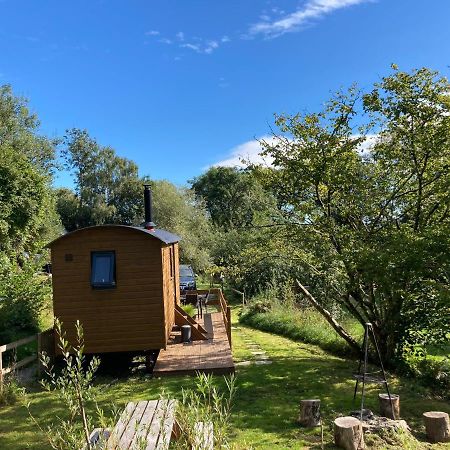 Herdwick Shepherd Hut เอ็กซิเตอร์ ภายนอก รูปภาพ