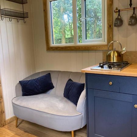 Herdwick Shepherd Hut เอ็กซิเตอร์ ภายนอก รูปภาพ